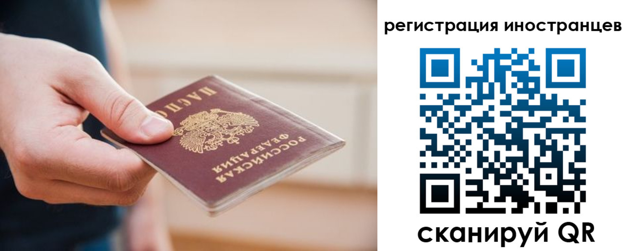 прописка гарантия в Арсеньеве